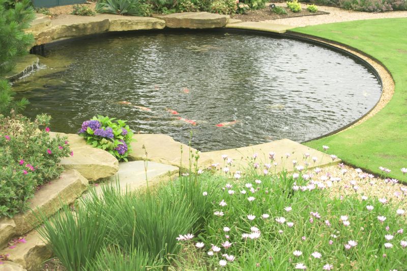 Pond Erosion Repair