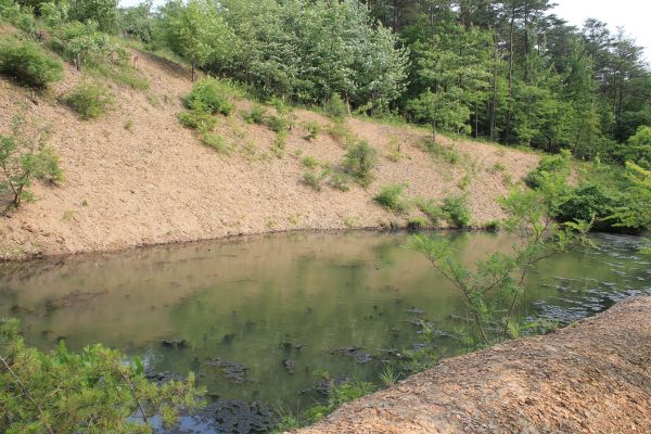 Cost of Pond Erosion Repair in Akron